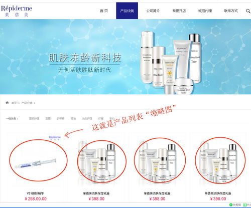 上海派網 一站式網站建設與SEO優化專家，助力企業在滬騰飛
